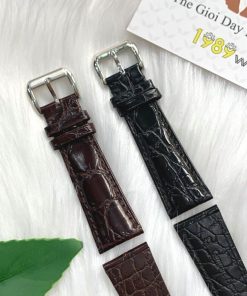 day ca sau 2 mat chong nuoc