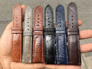 Mẫu mã đa dạng